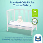 Matelas de berceau et pour tout-petit rafraîchissant 2 étapes Sealy Cool Comfort Premier : ferme, mousse, épaisseur de 5,5 po, 7 lb