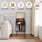 Meuble de Support pour Platine Vinyle, Table pour Platine Vinyle, Meuble pour Disques Vinyles pour Salon, Meuble Platine Vinyle avec Pieds en Métal