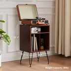 Meuble de Support pour Platine Vinyle, Table pour Platine Vinyle, Meuble pour Disques Vinyles pour Salon, Meuble Platine Vinyle avec Pieds en Métal
