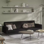 vidaXL Canapé-Lit 2 Places en Velours Noir - Causeuse Convertible/Lit de Repos pour Salon, Studio, Appartement