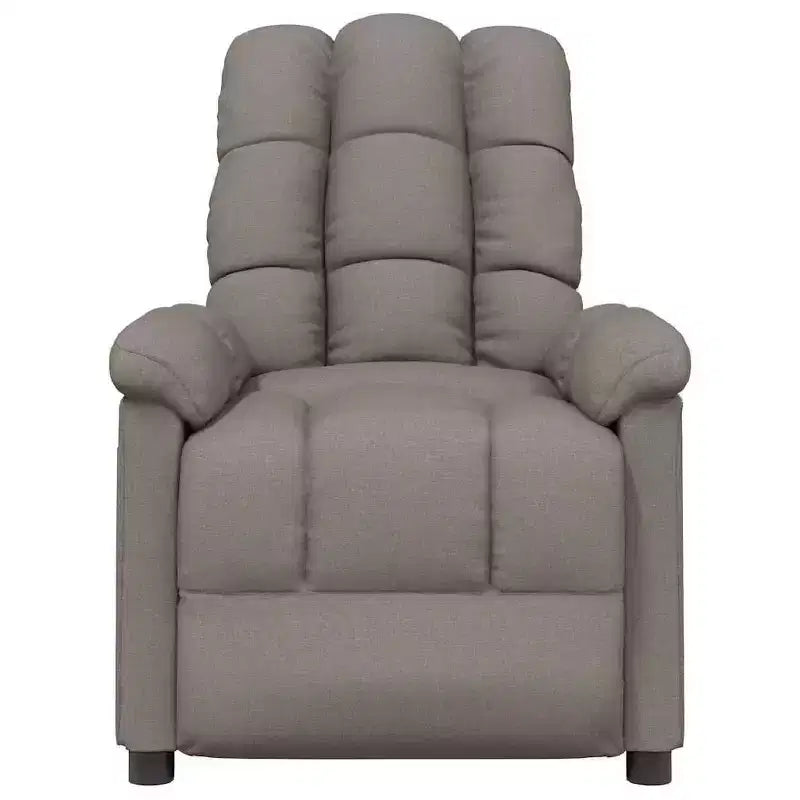 vidaXL Fauteuil inclinable de relaxation réglable et confortable en tissu pour cinéma maison
