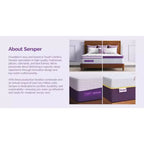 Sersper matelas hybride à ressorts et mousse à mémoire de forme 12 pouces - Compatible avec les lits plateformes, les sommiers tapissiers ou les lits à lattes