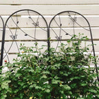 MAYEERTY Lot de 2 treillis de jardin métalliques 180x50 cm - Antirouille, décor papillon noir, pour plantes grimpantes d'extérieur