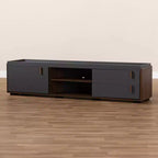 Meuble TV Rikke bicolore en bois à 2 tiroirs pour téléviseurs jusqu'à 65 po gris - Baxton Studio