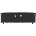Zoe Trunk/Coffee Table - Safavieh