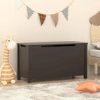 Coffre de rangement en bois pour jouets pour enfants avec couvercle à charnière de sécurité, pour les 3 ans et plus