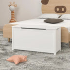 Coffre de rangement en bois pour jouets pour enfants avec couvercle à charnière de sécurité, pour les 3 ans et plus