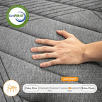 Matelas respirant rafraîchissant SweDrea Plush hybride en mousse à mémoire de forme 8/12 po avec certifications CertiPUR-US, SGS et OEKO-TEX